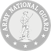 ArmyAVNBranchPlaque 3