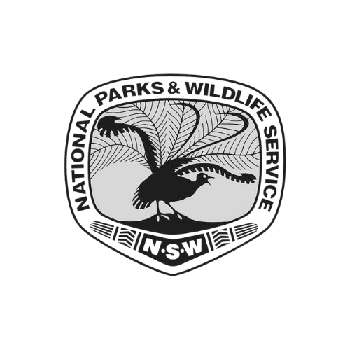 Untitled design (7)